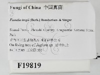 登錄號:F0019819藏品圖，第2張