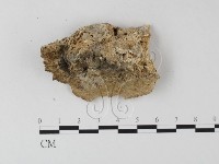 登錄號:F0019819藏品圖，第4張