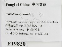 登錄號:F0019820藏品圖，第2張