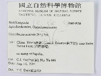 登錄號:F0019820藏品圖，第3張