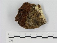 登錄號:F0019820藏品圖，第4張