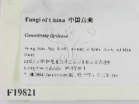登錄號:F0019821藏品圖，第2張