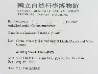 登錄號:F0019821藏品圖，第3張