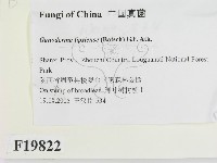 登錄號:F0019822藏品圖，第2張