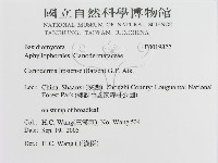 登錄號:F0019822藏品圖，第3張