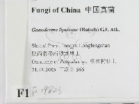 登錄號:F0019823藏品圖，第2張