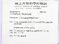 登錄號:F0019825藏品圖，第2張