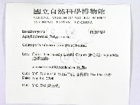 登錄號:F0019829藏品圖，第2張