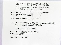 館號:F0019830藏品圖，第2張