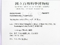 登錄號:F0019832藏品圖，第2張