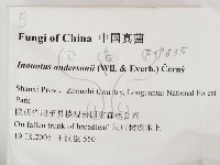 登錄號:F0019835藏品圖，第2張
