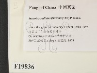 館號:F0019836藏品圖，第2張