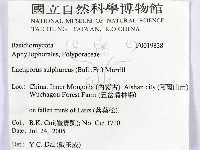 登錄號:F0019838藏品圖，第2張