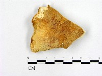 登錄號:F0019838藏品圖，第3張