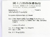 登錄號:F0019839藏品圖，第2張