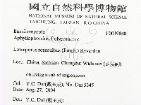 登錄號:F0019840藏品圖，第2張