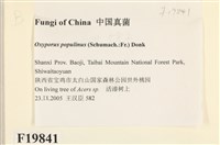 登錄號:F0019841藏品圖，第2張