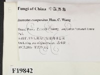 登錄號:F0019842藏品圖，第2張