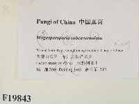登錄號:F0019843藏品圖，第2張