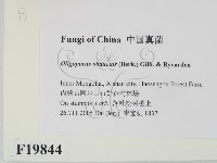 登錄號:F0019844藏品圖，第2張
