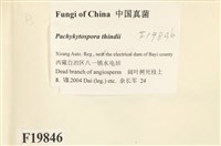 登錄號:F0019846藏品圖，第2張