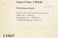 登錄號:F0019847藏品圖，第2張