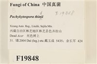 登錄號:F0019848藏品圖，第2張