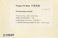 登錄號:F0019849藏品圖，第2張