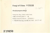 登錄號:F0019850藏品圖，第2張