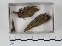 登錄號:F0019851藏品圖，第1張