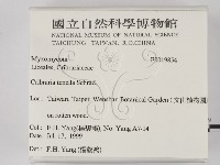登錄號:F0019854藏品圖，第2張