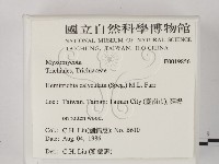 館號:F0019856藏品圖，第2張