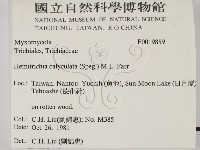 登錄號:F0019859藏品圖，第2張