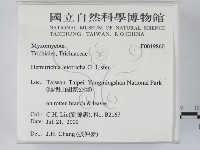 登錄號:F0019860藏品圖，第2張