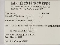 登錄號:F0019863藏品圖，第2張