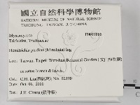 登錄號:F0019866藏品圖，第2張