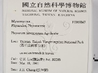 登錄號:F0019867藏品圖，第2張