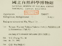 登錄號:F0019870藏品圖，第2張