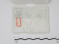 登錄號:F0019870藏品圖，第1張