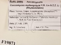 登錄號:F0019871藏品圖，第2張