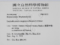 登錄號:F0019873藏品圖，第2張