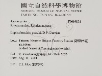 館號:F0019874藏品圖，第2張