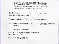 登錄號:F0019880藏品圖，第2張