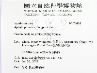 登錄號:F0019881藏品圖，第2張