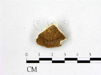 登錄號:F0019881藏品圖，第3張