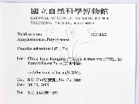 館號:F0019882藏品圖，第2張