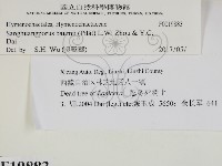 登錄號:F0019883藏品圖，第2張