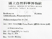 登錄號:F0019886藏品圖，第2張