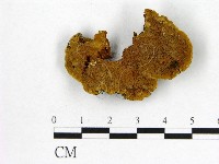 登錄號:F0019888藏品圖，第1張