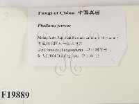 登錄號:F0019889藏品圖，第2張